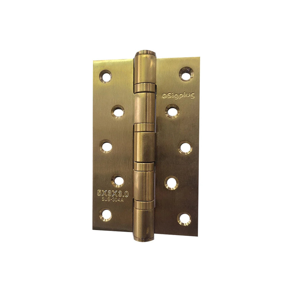 Stainless Steel Door Hinge 5" GP Color
