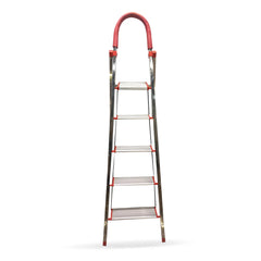 Aluminum + SS Ladder