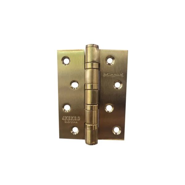 Stainless Steel Door Hinge 4" GP Color